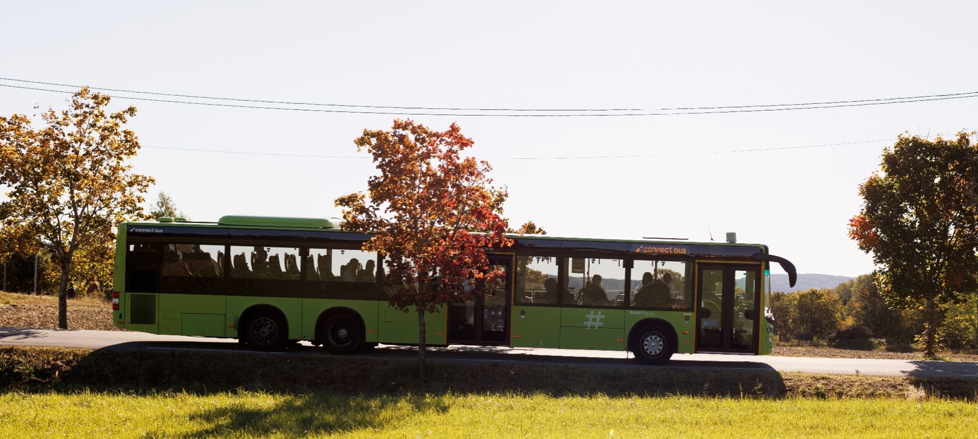 Buss i nordisk natur