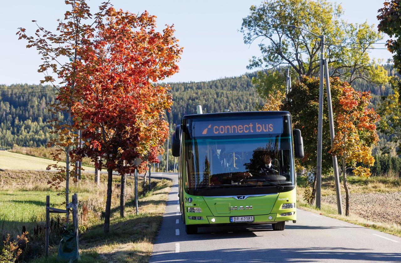 Buss som kör i naturen