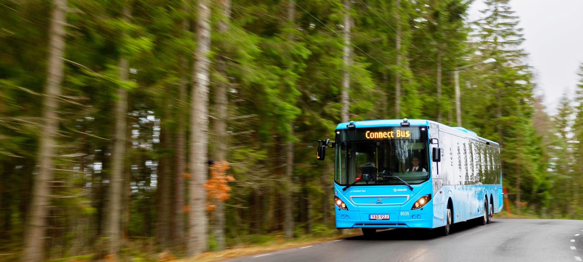 Buss i nordisk natur